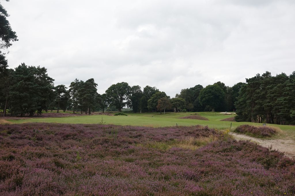 16th Hole at West Sussex Golf Club (364 Yard Par 4)